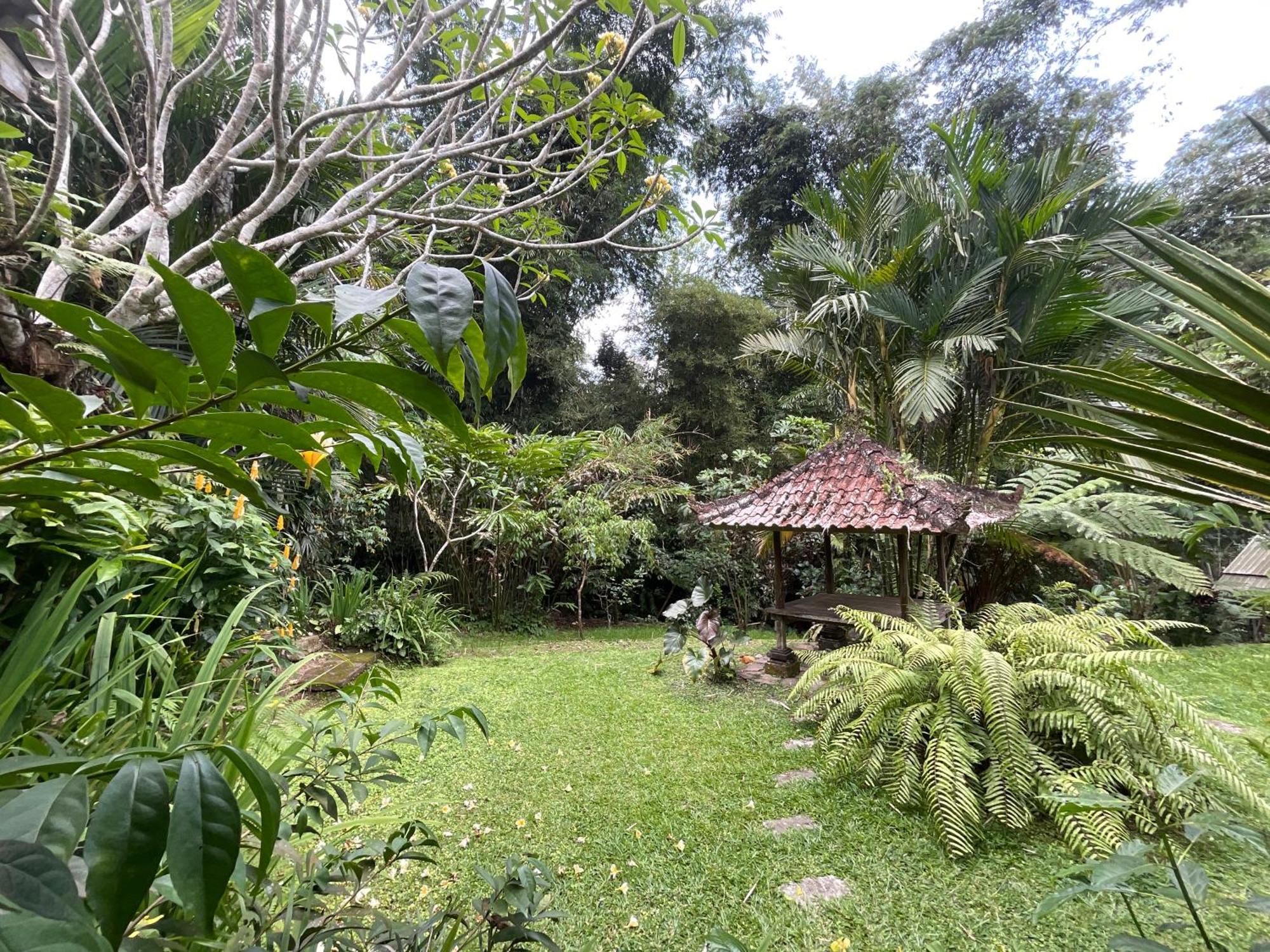 Carik Tangis Boutique Homestay *